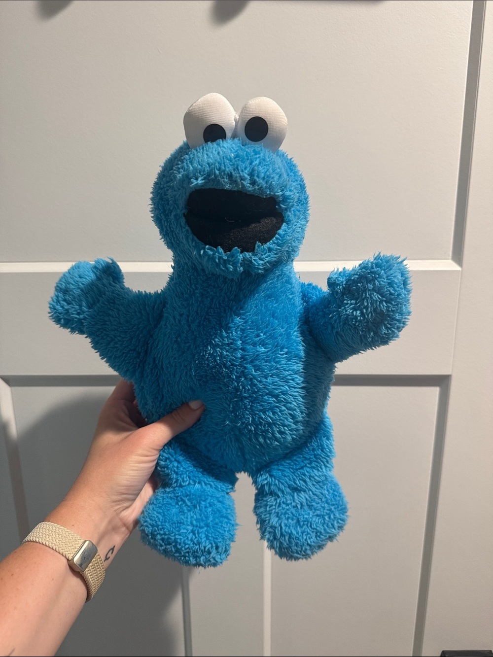 Cookie Monster